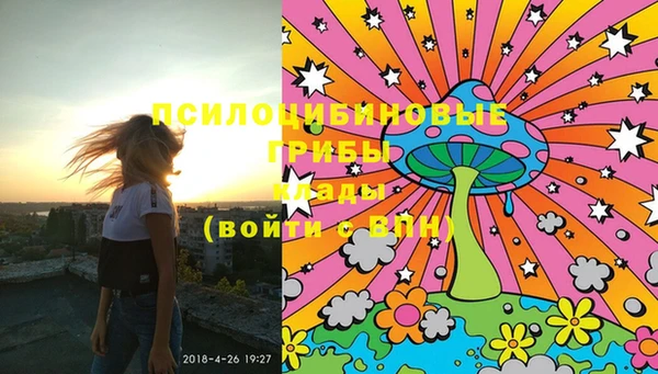 ECSTASY Дмитров