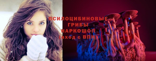 ECSTASY Дмитров