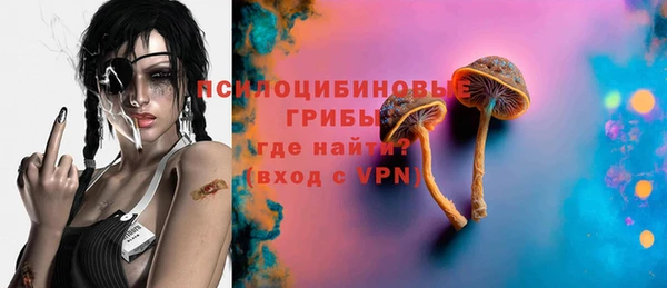 мяу мяу мука Дмитриев