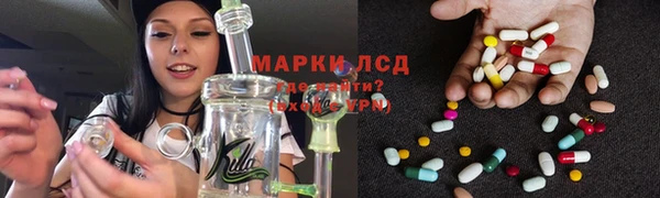 мяу мяу мука Дмитриев