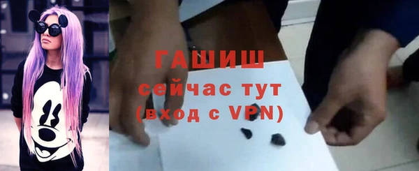 хмурый Дмитровск