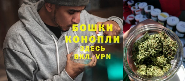 мяу мяу мука Дмитриев