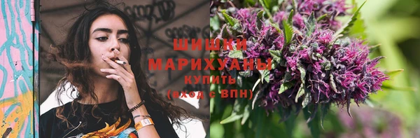 мяу мяу мука Дмитриев