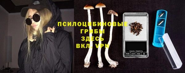 мяу мяу мука Дмитриев